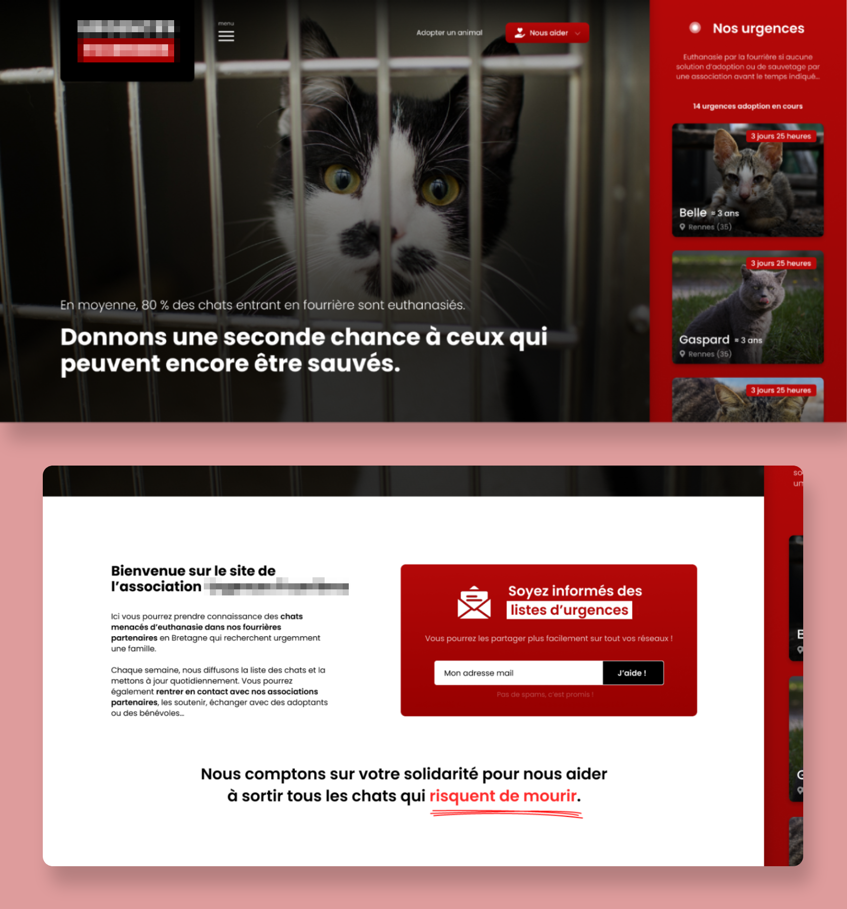 Site Web 1