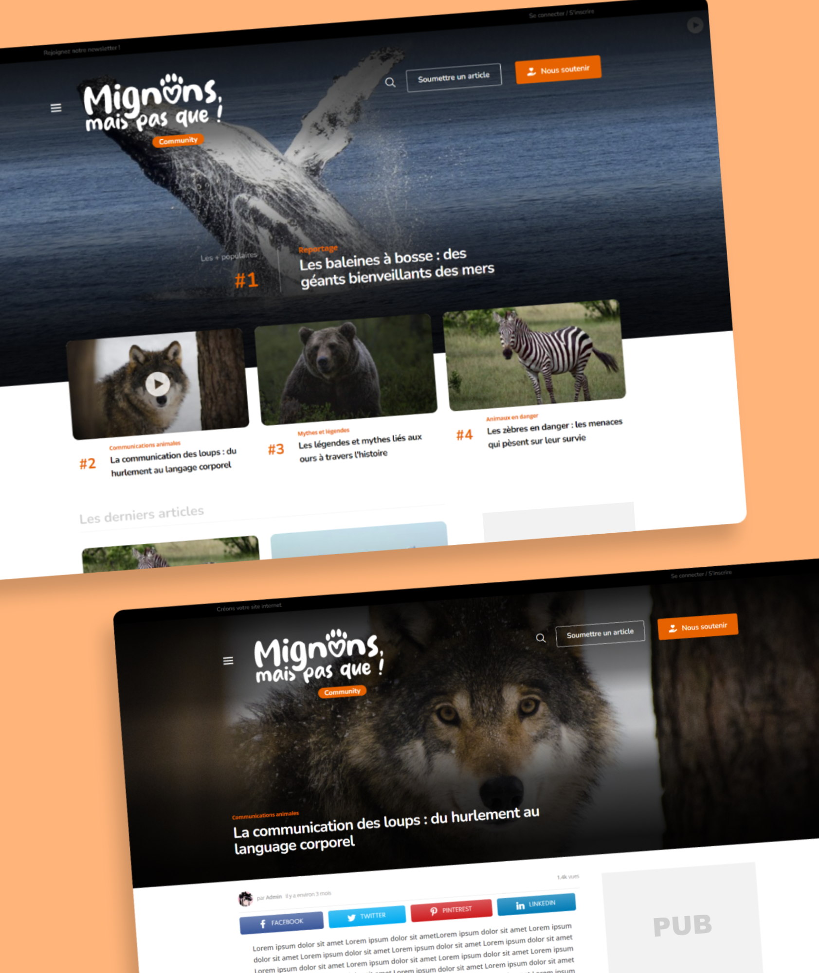 Site Web 2