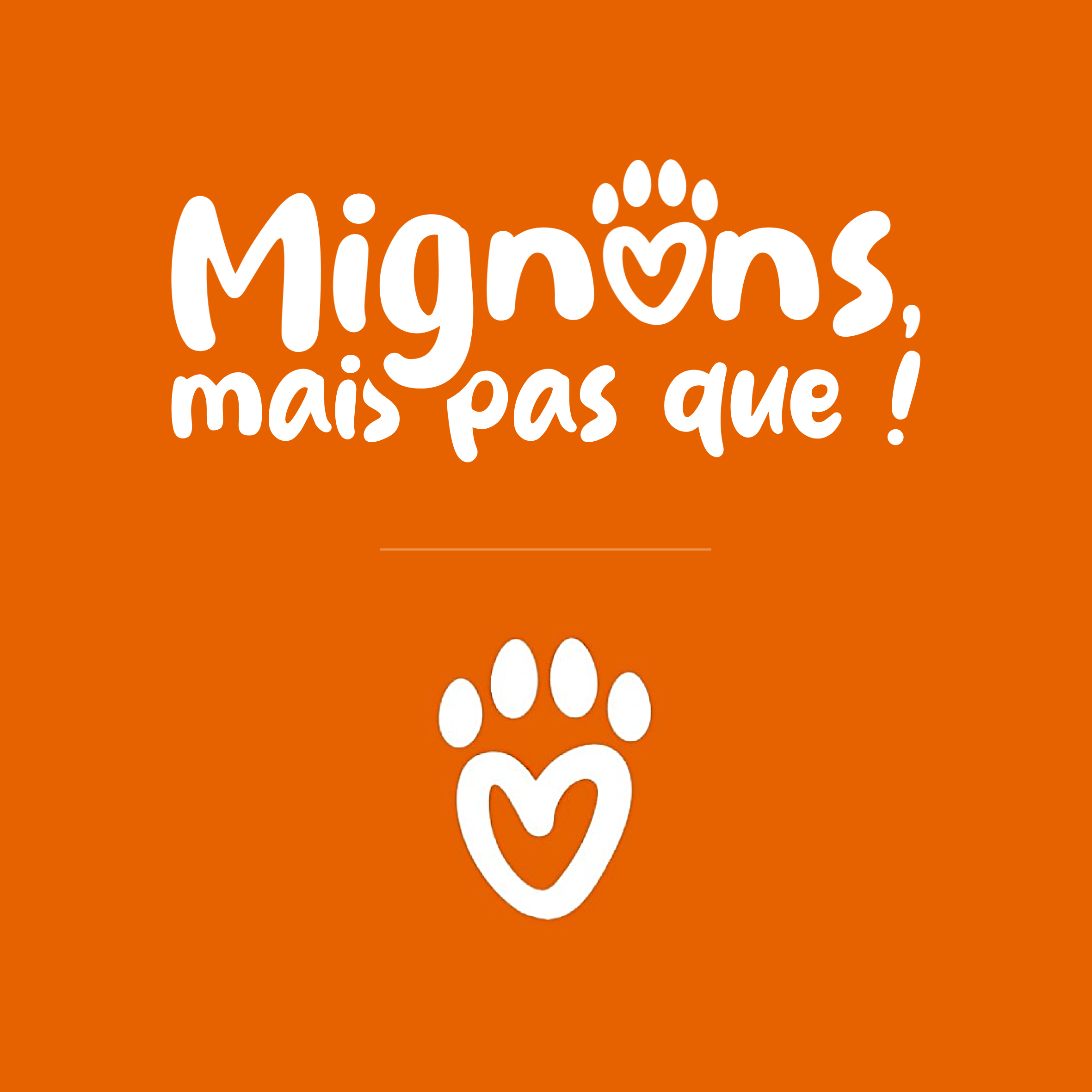 Application Santé